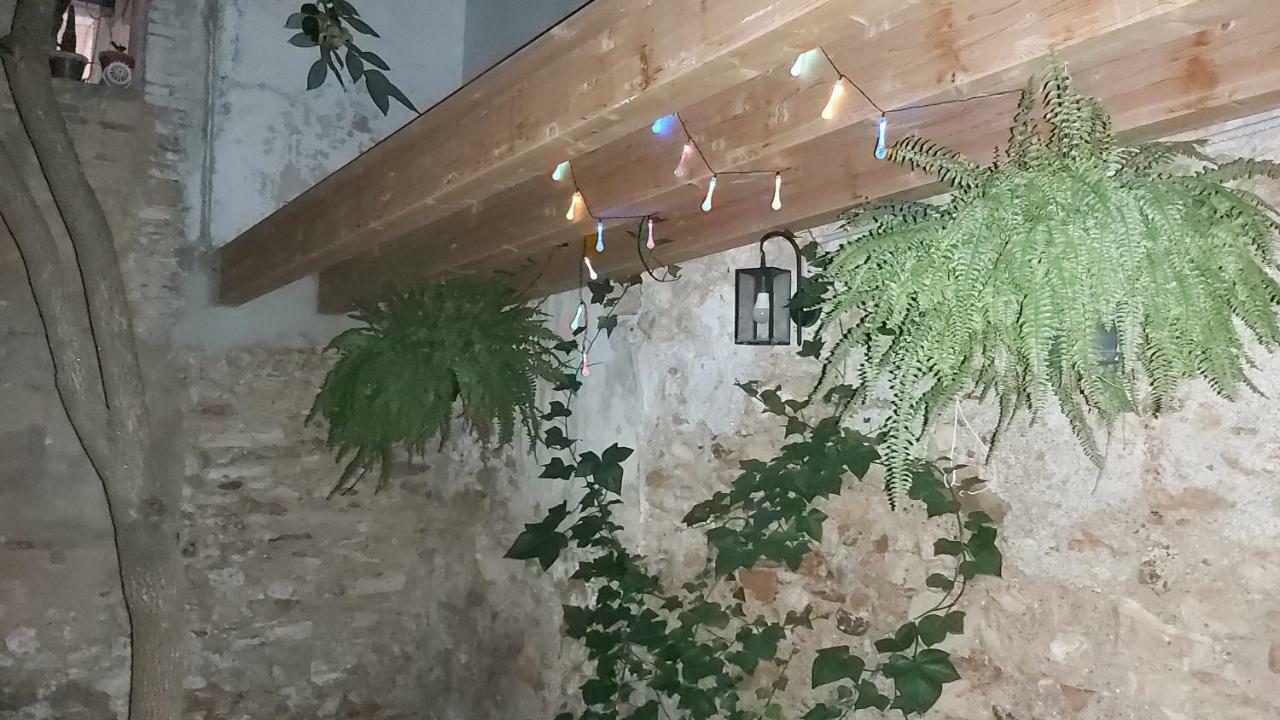 Casa Font ξενώνας Benissanet Εξωτερικό φωτογραφία